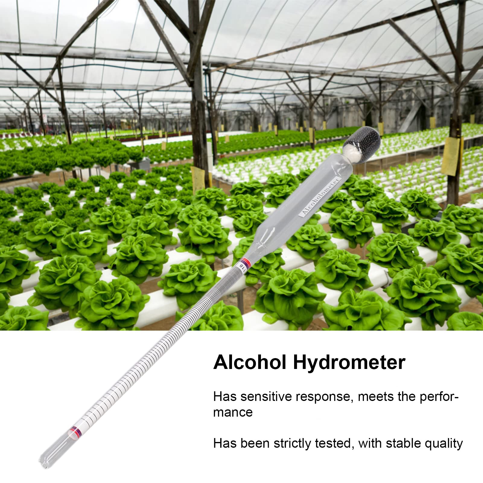 YAOGOHUA 10 Pcs Wine Alcohol Meter 0?100° High Accuracy Glass Hydrometer for Laboratory Home