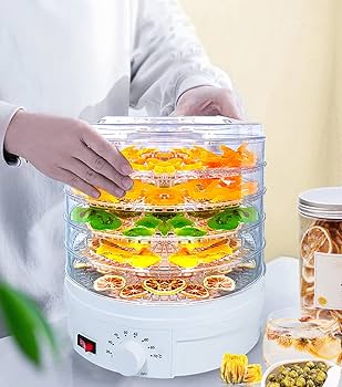 高温調理でよりパリパリ感がでて美味しく、栄養が高いNEWフードドライヤーDX Bestore ドライヤー ヘアドライヤー 速乾 恒温ヘアケア 大風量