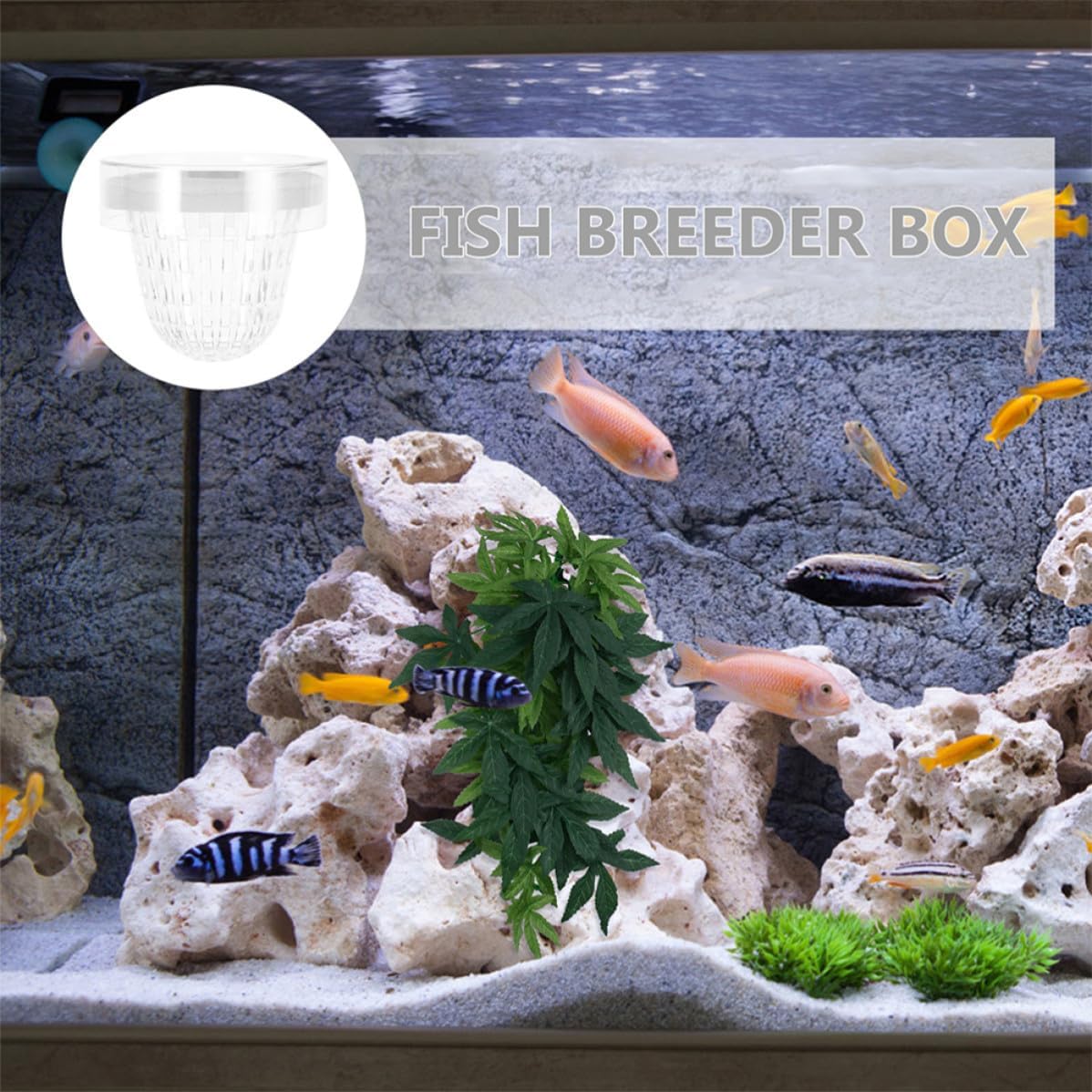 2pcs Aquarium Fish Breeding Box Floating Plastic Isolation Hatchery | High Efficiency Separation, Easy Installation, Safe Protection, Aquarium Use