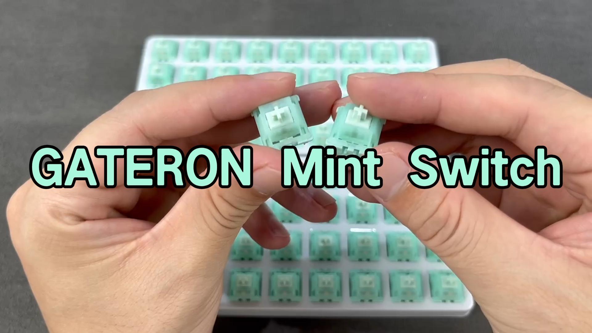 Amazon.com: Zjmehty GATERON Mint Dual-Stage Spring Switches for MX