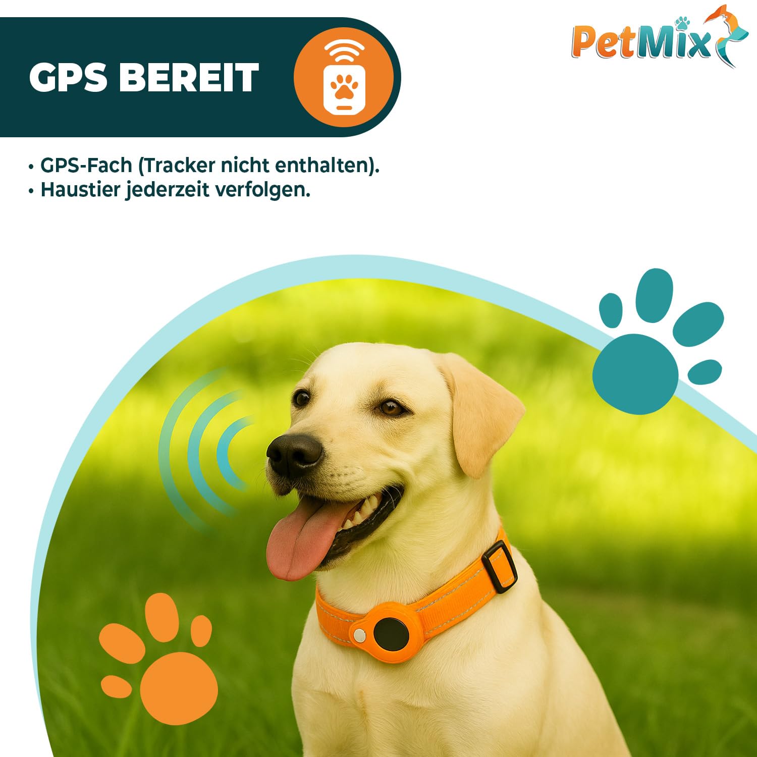 Collier GPS pour chien - Collier GPS pour petit chien - Traceur GPS pour chien - Dispositif de localisation de chien - Collier pour chien (noir, S)