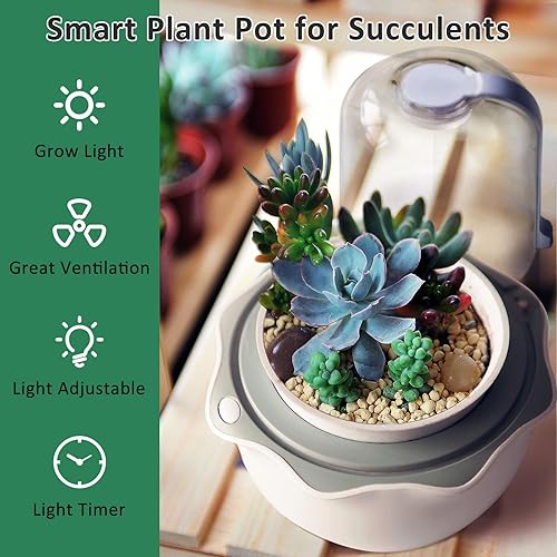 Miniatura 5 de Smart Venus - Maceta de terrario con temporizador y ventilador, maceta violeta africana con luz de crecimiento, kit de terrario para plantas
