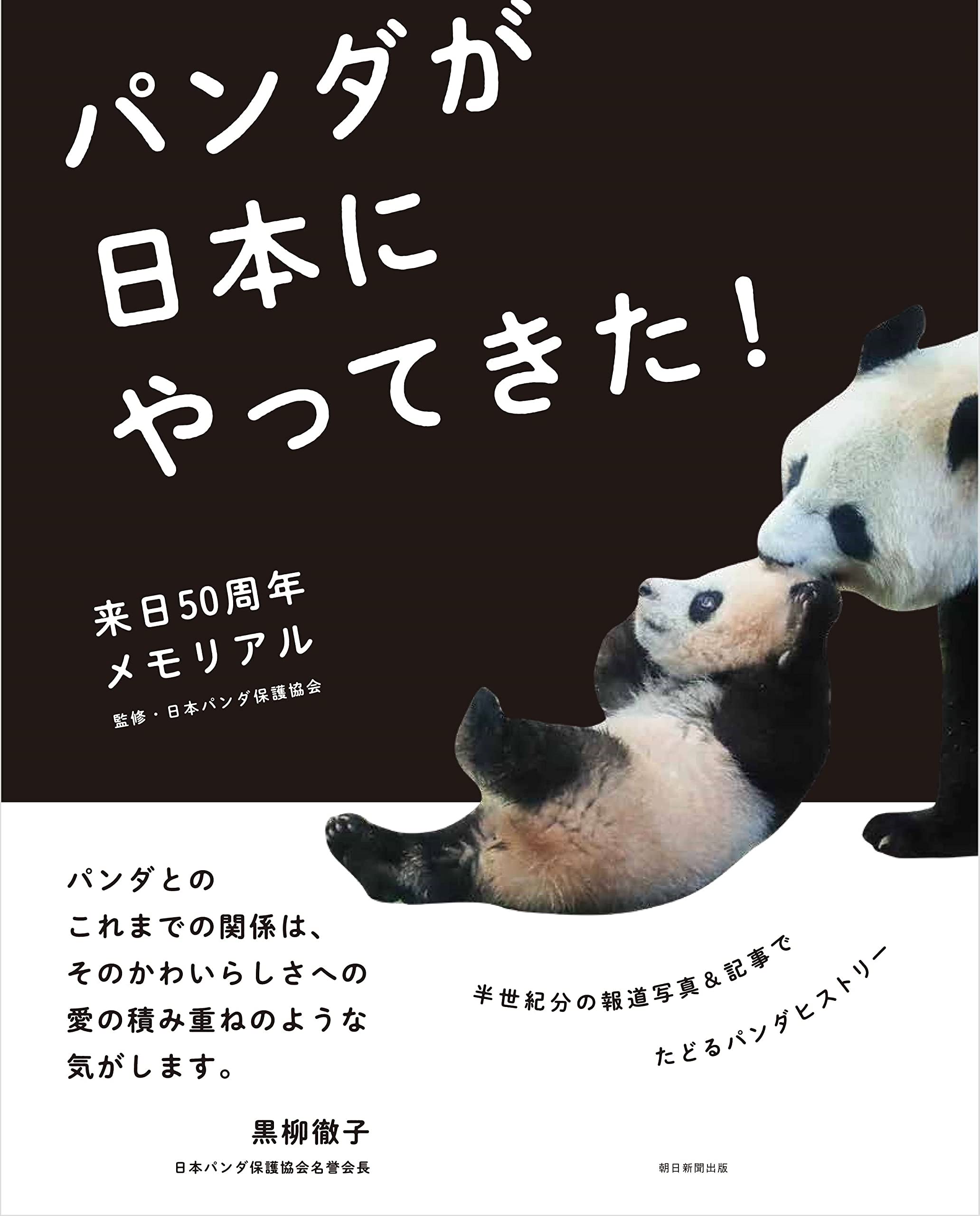 パンダページ 5点おまとめ 71zQ9ZcxkqL.jpg