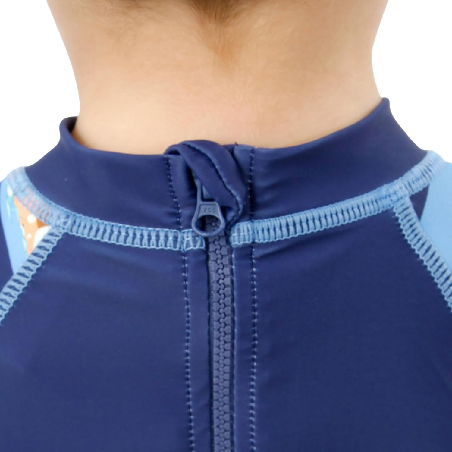 Bluey Swimsuit | One Piece Boys Bathing Suit | Boys Rash Guard Swimsuit