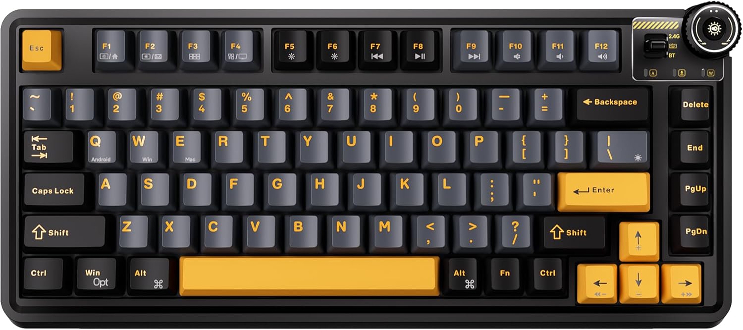 Aula Wireless Mechanical Keyboard - 75% Kompakte, hot-swap-fähige benutzerdefinierte Tastatur, 81 Tasten, RGB-Hintergrundbeleuchtung, 2,4 GHz/USB-C kabelgebunden/BT5.0 für Tablet, Laptop, Computer, PC