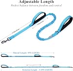 VIVAGLORY Pullsafe pour chien Pullesafe pour chiens avec 2 Poignée rembourrée & Double poignée pour la formation & Marcher, Bungee Anti Tir pour les animaux qui tirent, 4ft x 1in, bleu