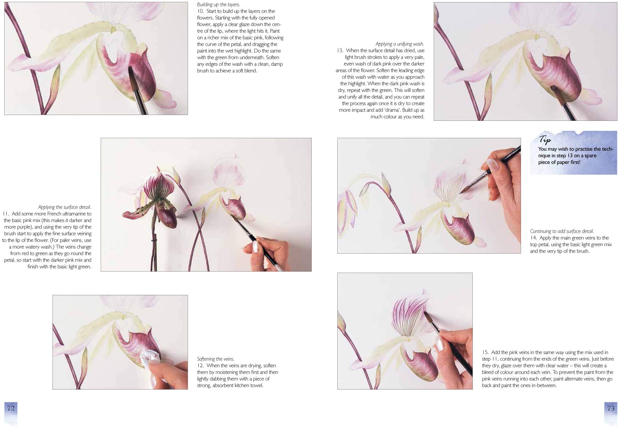 Watercolour Flower Portraits