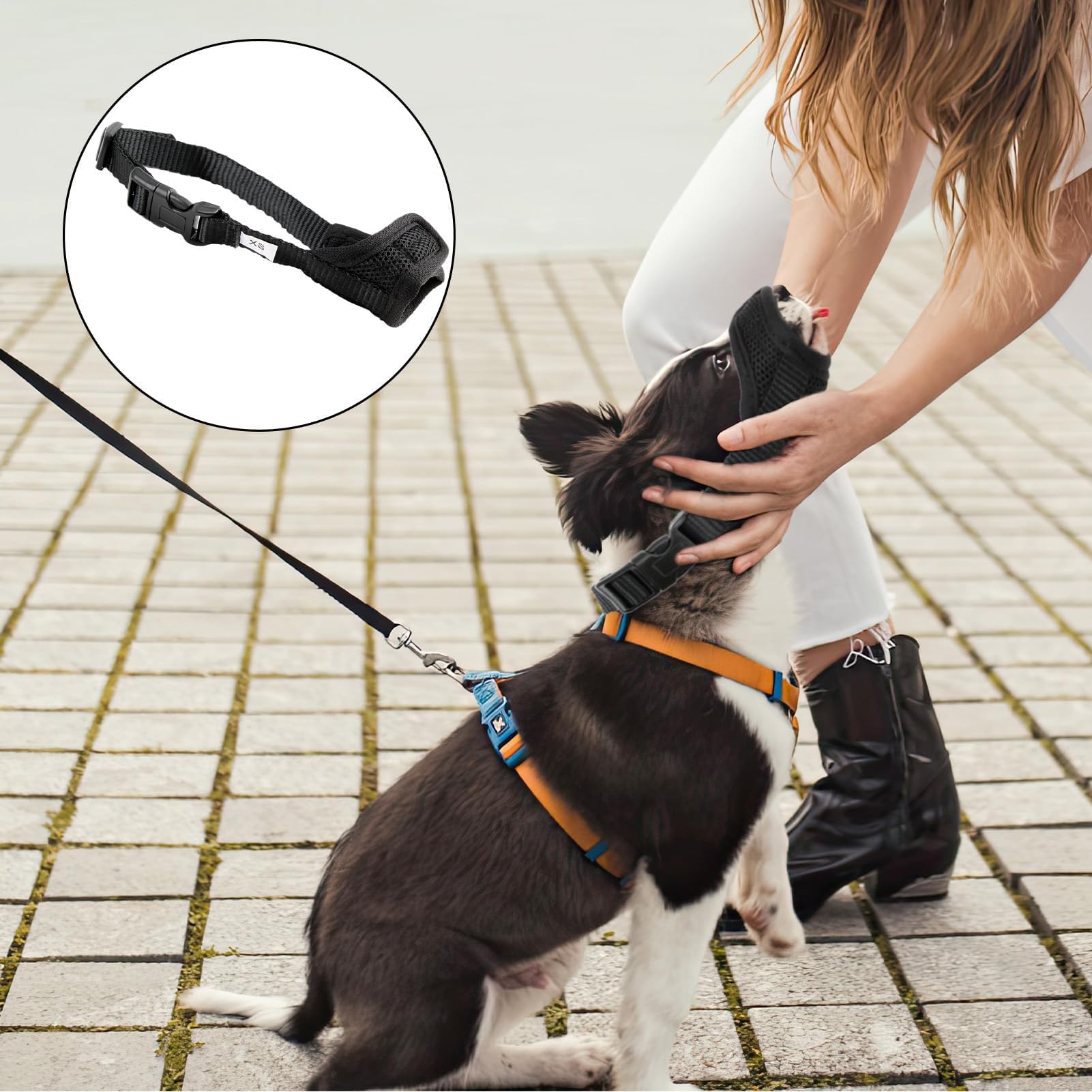 Museliere pour Chiens, Muselière en Nylon Réglable Doux et Respirant, Museliere Anti Aboiement Anti-Morsure Anti-Mastication, Museliere pour Chiens Petit, Moyens Chiens (XS,Noir)