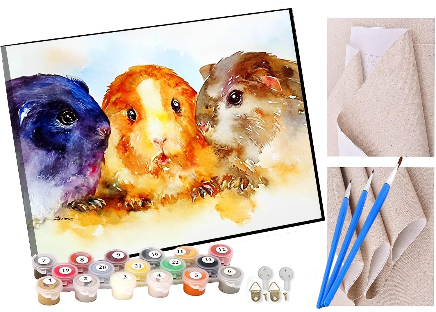 Kangbawa Paint By Number For Adults Beginner Canvas Guinea Pig Painting By Numbers Kits With 3 Brushes And Acrylic Paint(16X20 Inch)