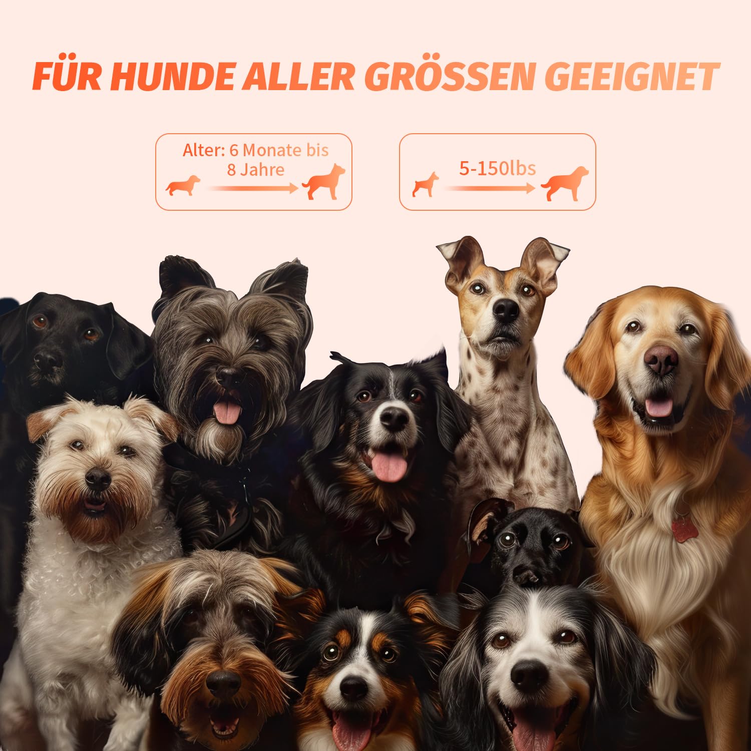 Appareil anti-aboiement à ultrasons rechargeable avec 4 fréquences réglables et lampe de poche LED pour chiens de petite et grande taille