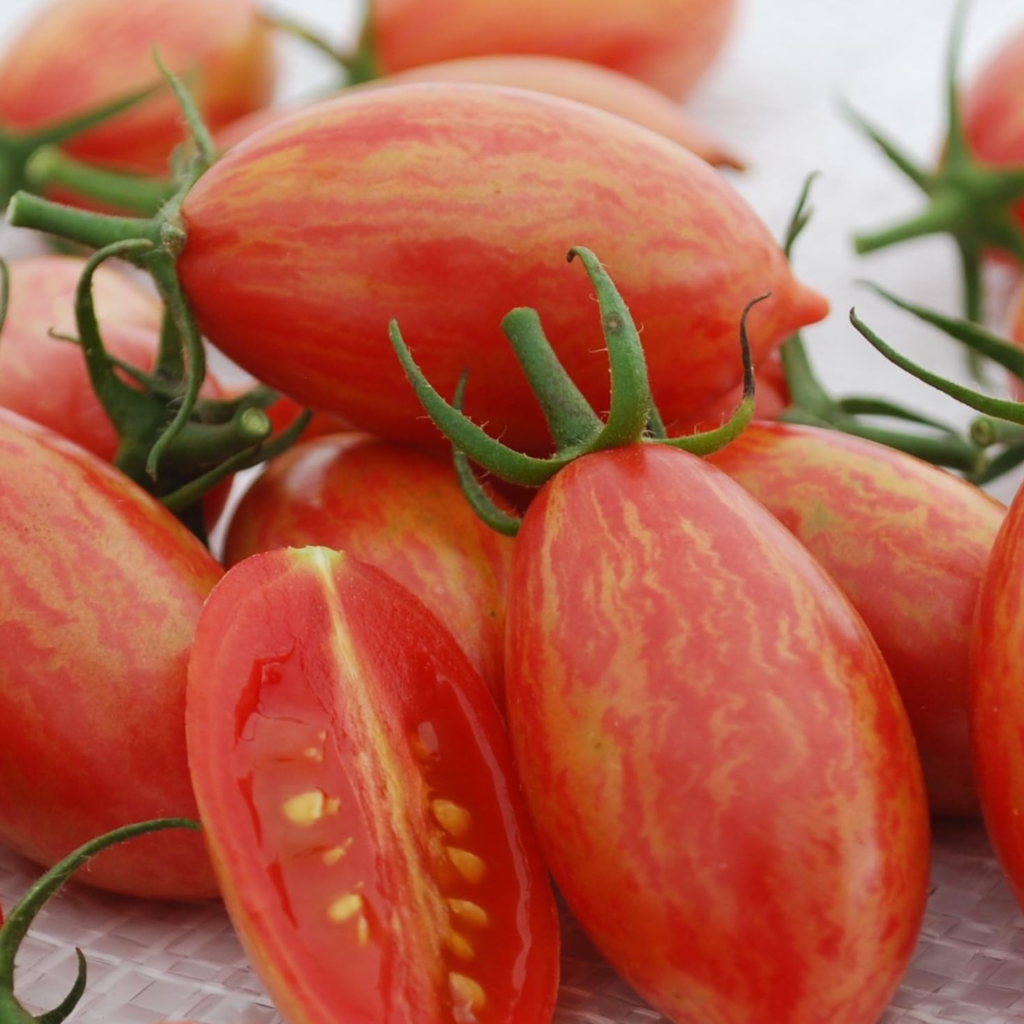 PREMIER SEEDS DIRECT - Tomato Seed - Artisan Pink Tiger - 10 Finest Seeds