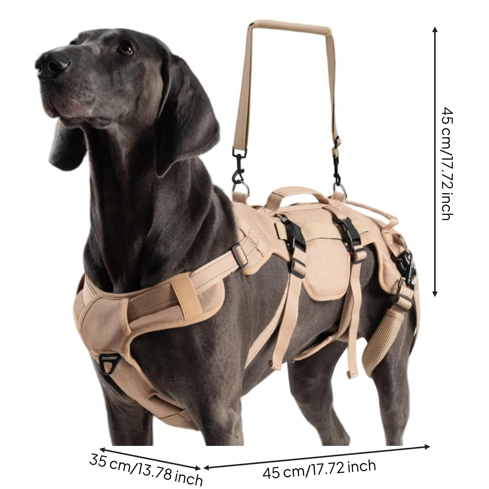 Harilla Imbracatura di Riabilitazione Regolabile | Resistente, fascia di Assistenza per Cani, Sicuro, Imbracatura per Cani con Anelli Attacco in Metallo, Beige, L