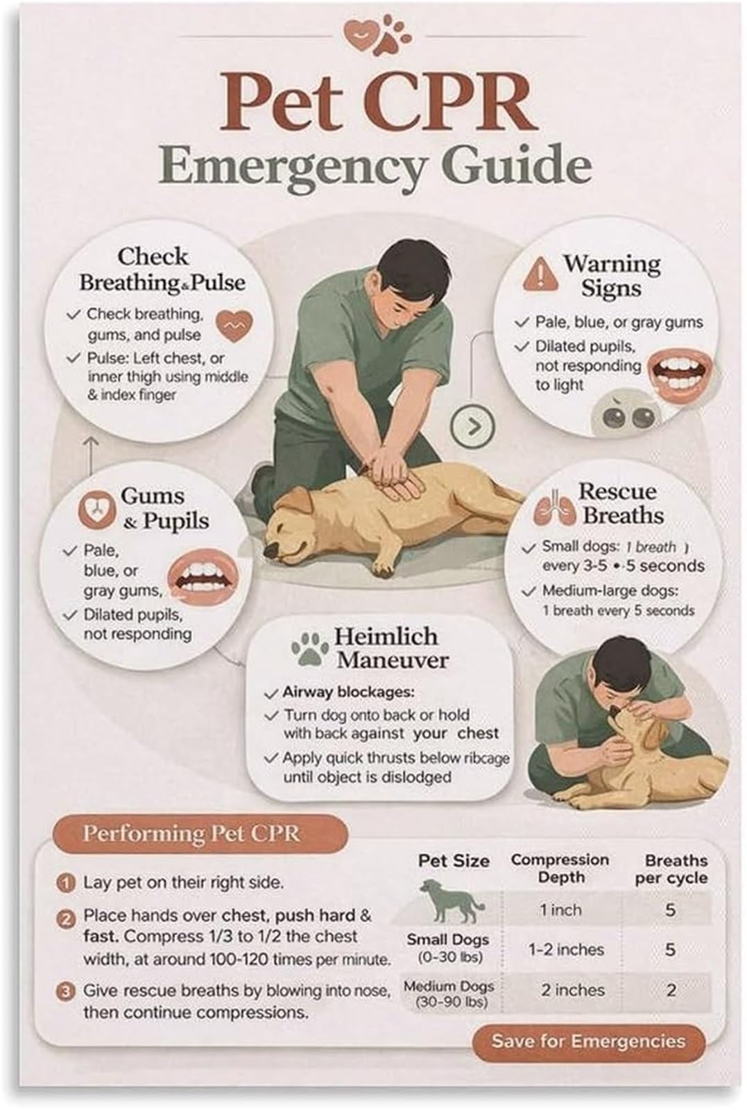 NWPNLXEA Canine Feline CPR Poster Pet First Aid Emergency Procedure Wall-Art