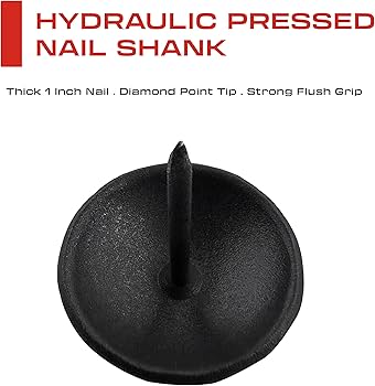 Amazon | Sidco Supply 50個パック – 鉄クラボ – 装飾釘 1インチ