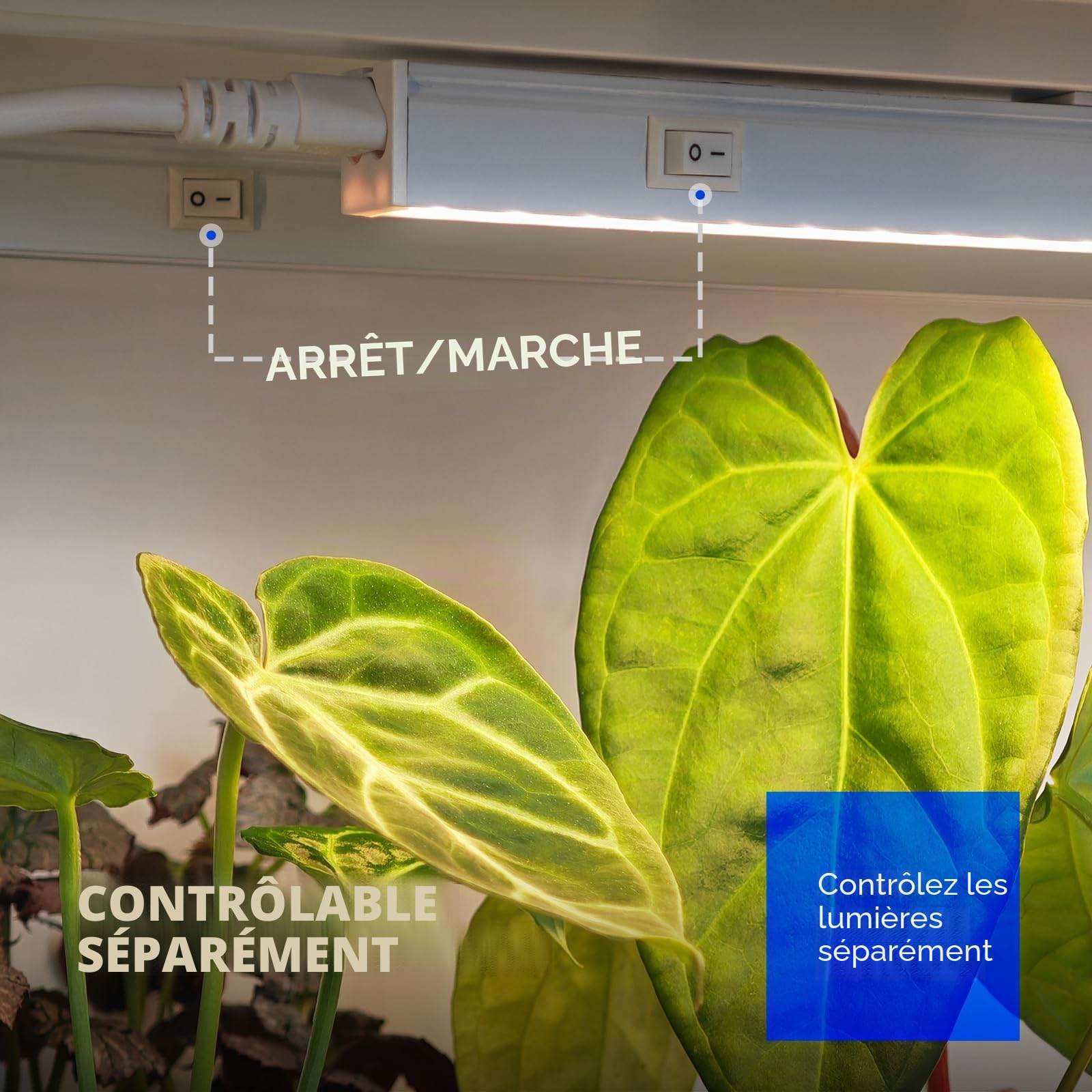 Barrina Lot de 4 lampes de culture pour plantes d'intérieur à spectre complet, 0,6 m 40 W (4 x 10 W), lampes T5 pour plantes d'intérieur, serre, Plug and Play, jaune