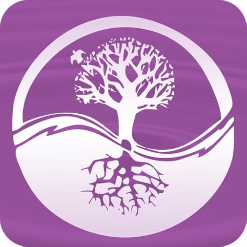 Release, Heal And Transform Guided Meditations