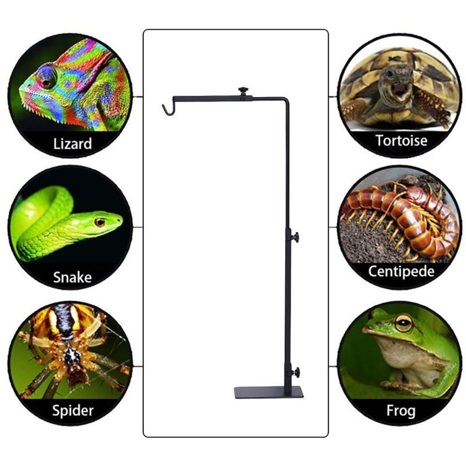 Riscaldatore per animali domestici □ arrampicata pet rettile riscaldamento Lampada Stand Rack Lizard Tortoise Turtle regolabile metallo lampada da terra di copertura asciugatura staffa ( Color : S )