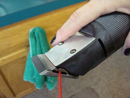 Miniatura 5 de "The Green Wonder Product", lata de aerosol de 300 ML (10.14 onzas)