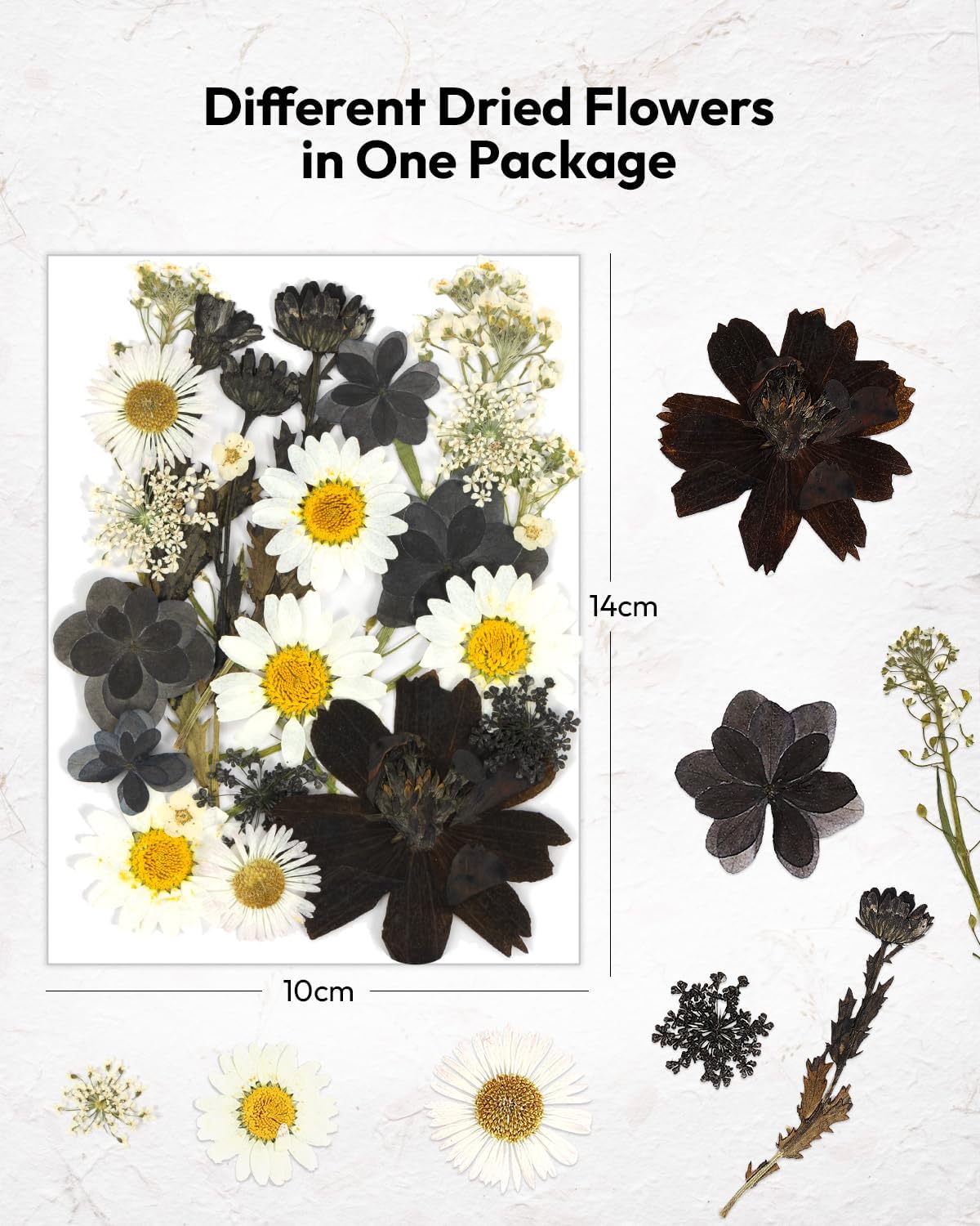 Dried Flowers, Resiners 100Pcs Pressed Flowers for Craft Black Real Natural Dried Flowers Dry Leaves Kit for DIY Making Crafts Resin Soap Candle Scrapbook Supplies Card Making Jewelry