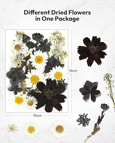 Vista 66 de Resiners - Flores secas, 100 piezas de flores prensadas para manualidades, color amarillo, flores secas naturales, kit de hojas secas