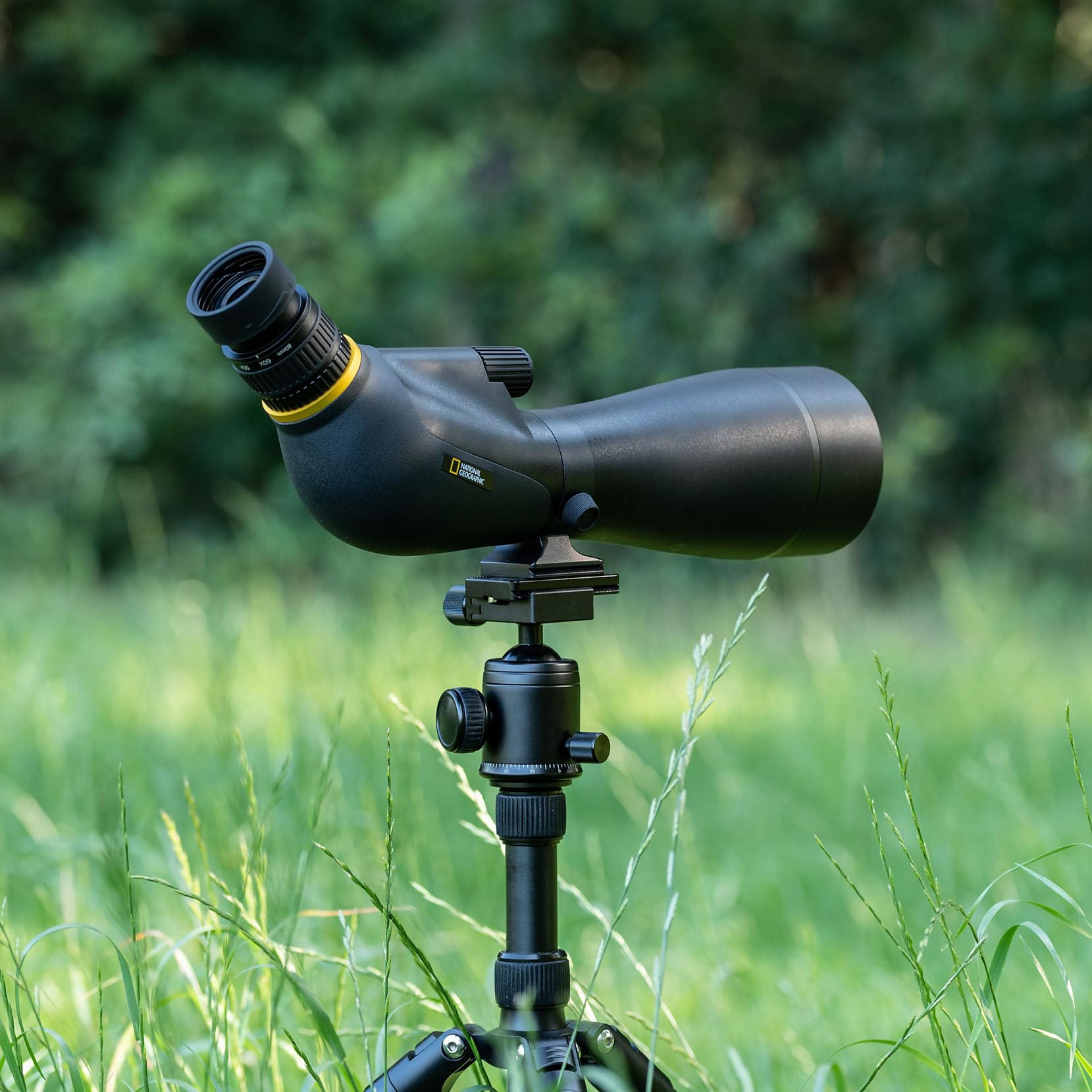 National Geographic Spektiv Adventurer 20–60x80 wasserdicht Zoom-Optik Naturbeobachtung Wildtierbeobachtung Vogelbeobachtung