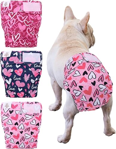 Miniatura 25 de CuteBone Pañales lavables para perras, paquete de 3 pantalones de entrenamiento para cachorros WWD02XS