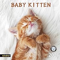 Vista 15 de Calendario de pared 2026, Calendario 2026, noviembre 2025 - diciembre 2026, calendario de pared de pájaros cantantes, 12 x 24 pulgadas abierto