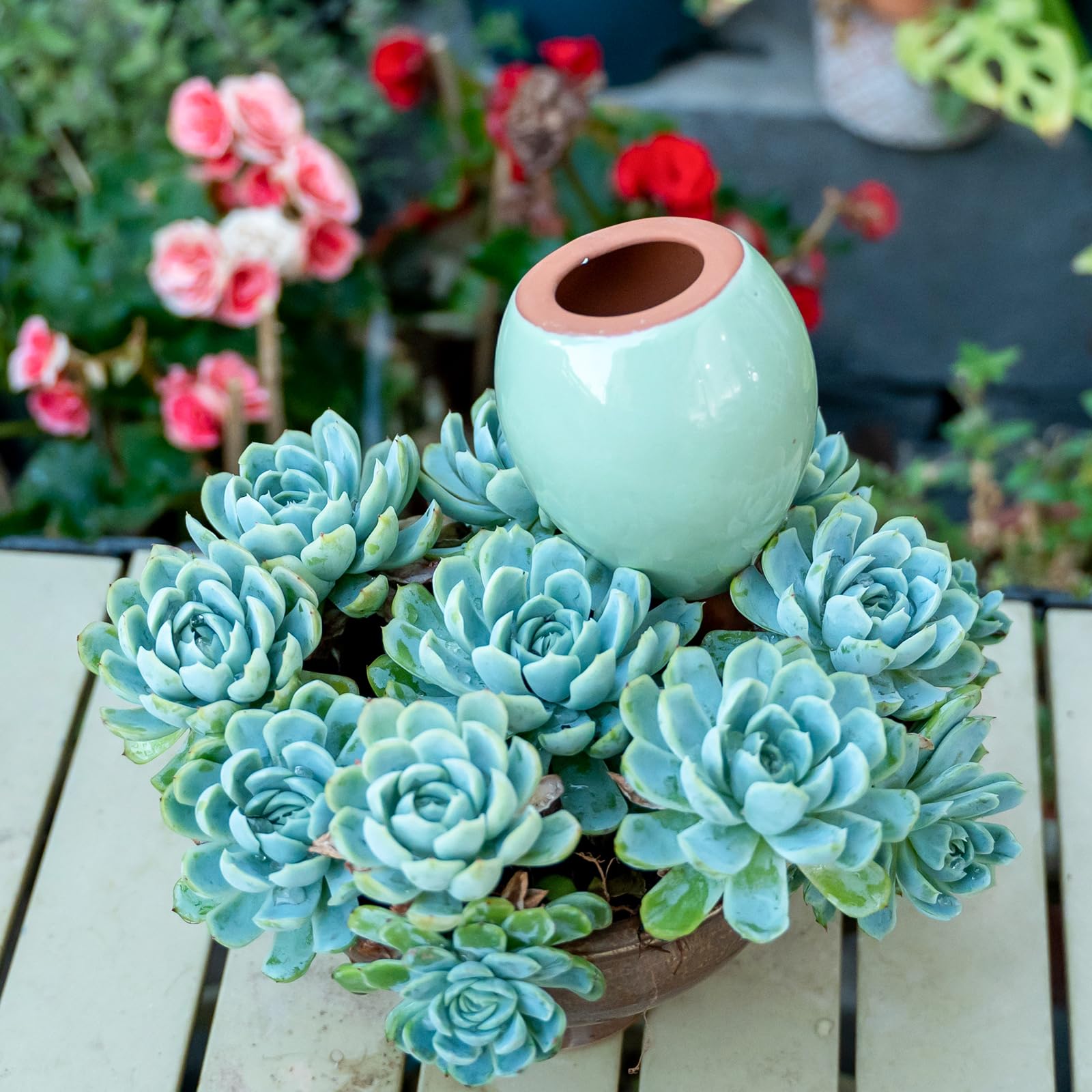 MOUGIGI Lot de 4 inserts de pot à arrosage automatique – 2 globes d'arrosage bleus et 2 verts en céramique pour plantes d'intérieur, bulbes en terre cuite et petits pots de fleurs – Capacité de 300 ml