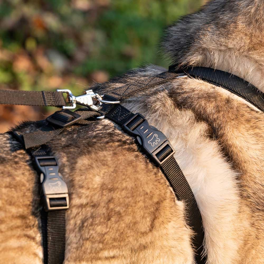 Ferplast Dog Harness Large BRAVE LARGE, Escape Proof Dog Harness, Greyhound, Adjustable Harness for Dogs 6 Closures, Nero - Image 3