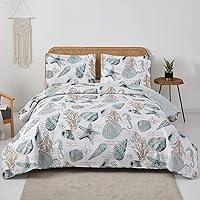 Vista 2 de 3 piezas de colcha de conchas de playa tamaño individual con tema oceánico, conchas de mar, concha de verano, colcha ligera y delgada reversible