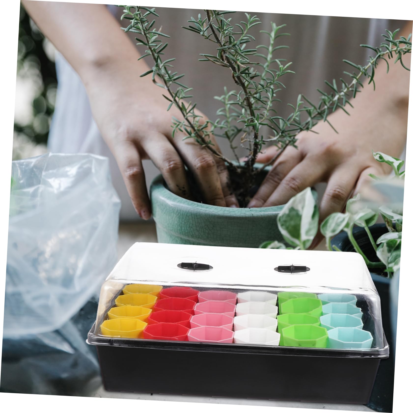 BESPORTBLE Plateau de Culture pour Jardin avec Plateau de Germination et Pot de Démarrage pour Semis