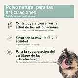 Ver la foto 3