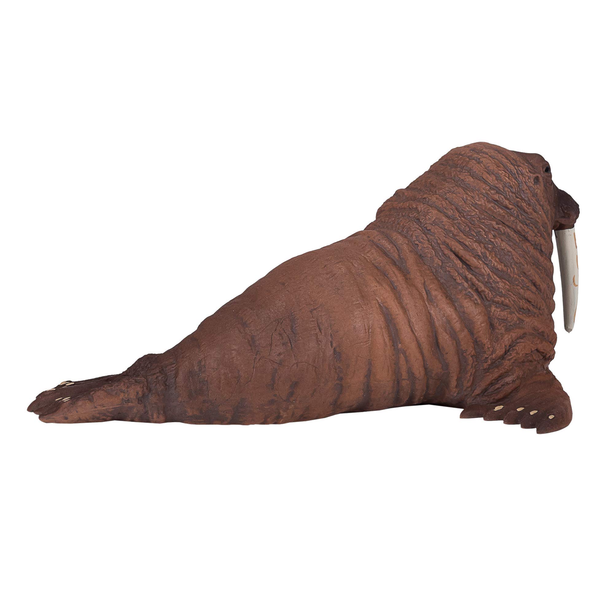 Amazon.co.jp: MOJO セイウチ リアル 国際 野生動物 手描き おもちゃ