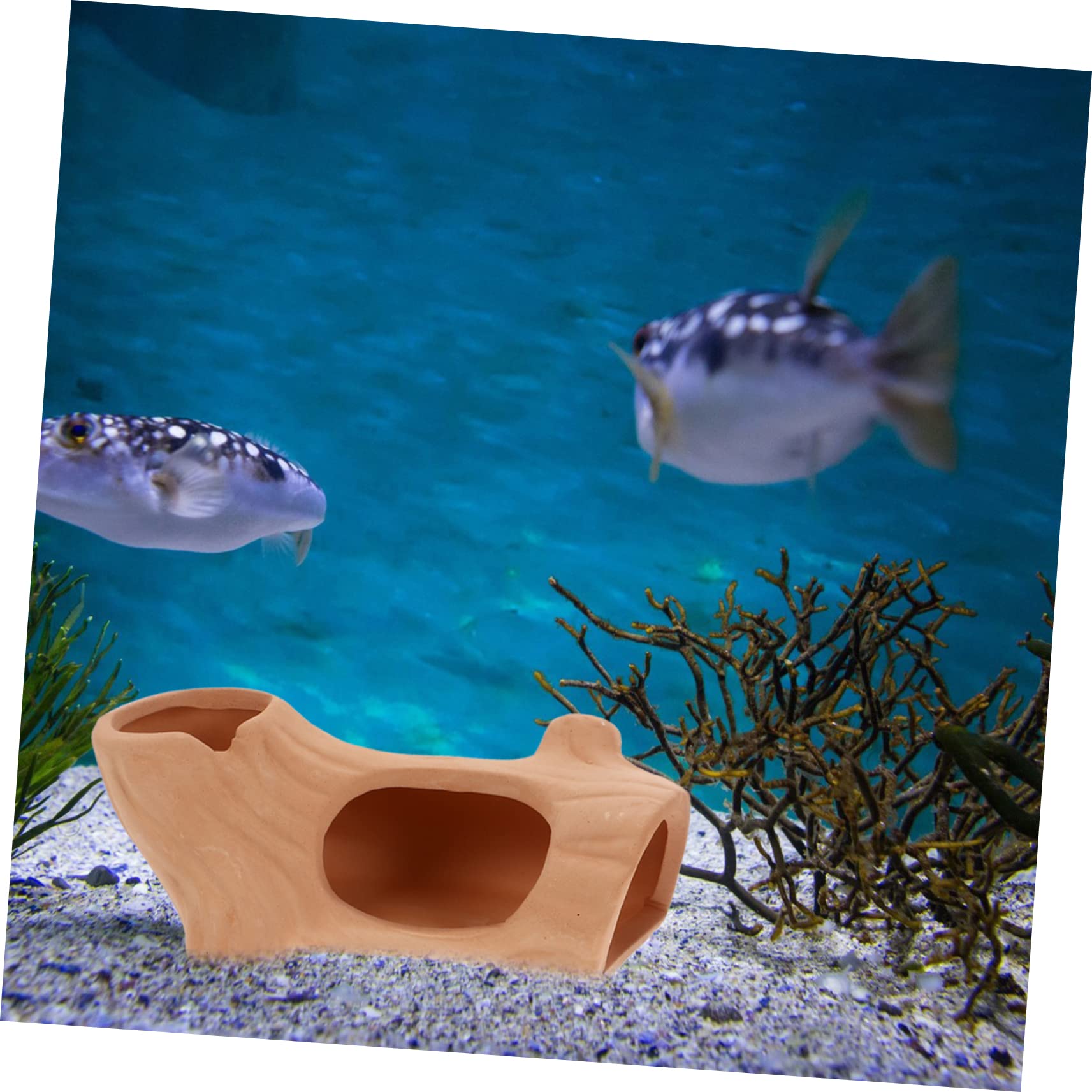 Amazon.co.jp: ORFOFE 2個 水槽の隠れ家 メダカ 水槽 熱帯魚 生体
