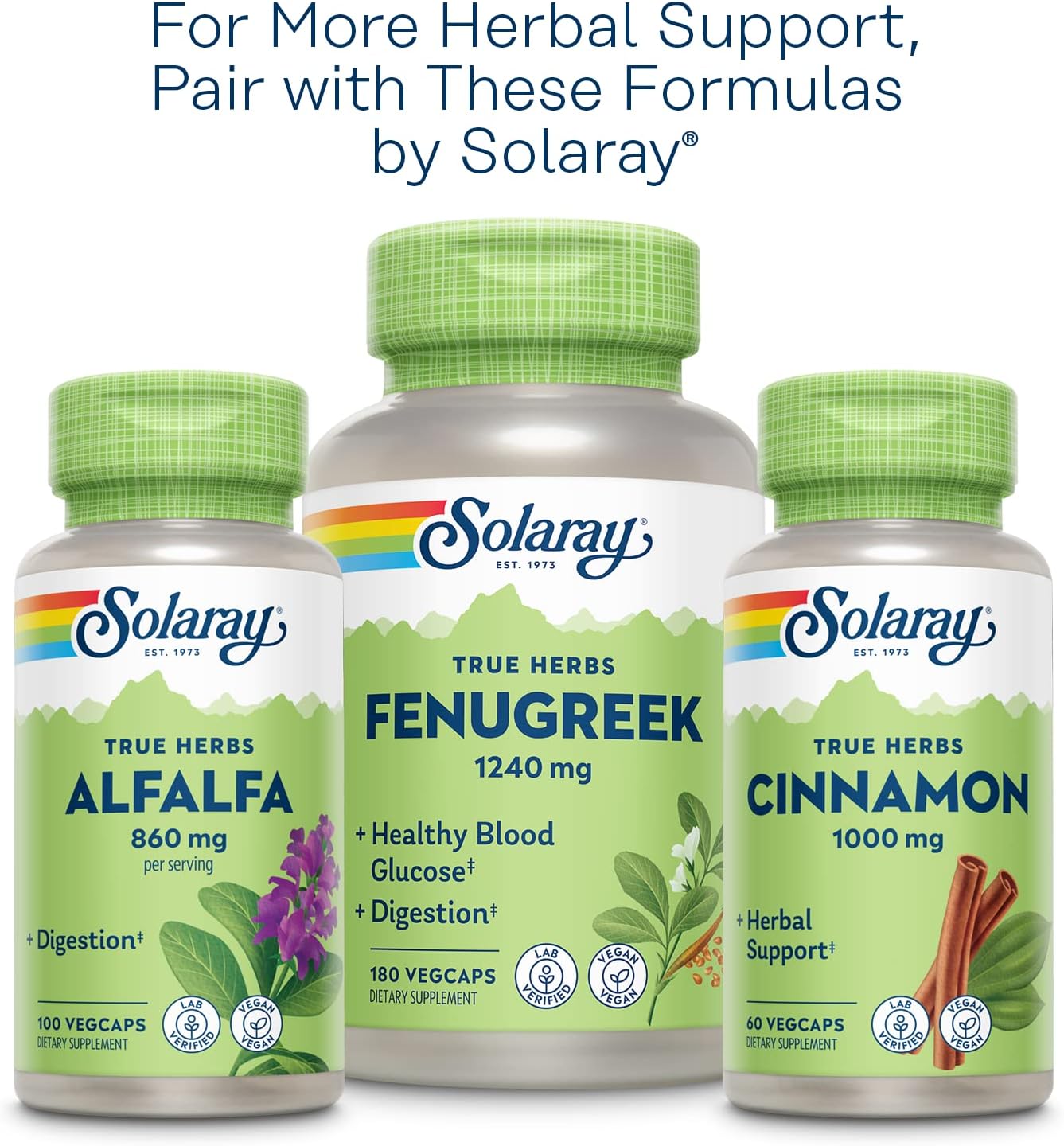 Solaray Nopal Prickly Pear Cactus 500 mg, with Naturally Occurring Dietary Fiber, Antioxidants, Carotenoids and Other Nutrients, Vegan, 60 Day Money Back Guarantee, 100 Servings, 100 VegCaps