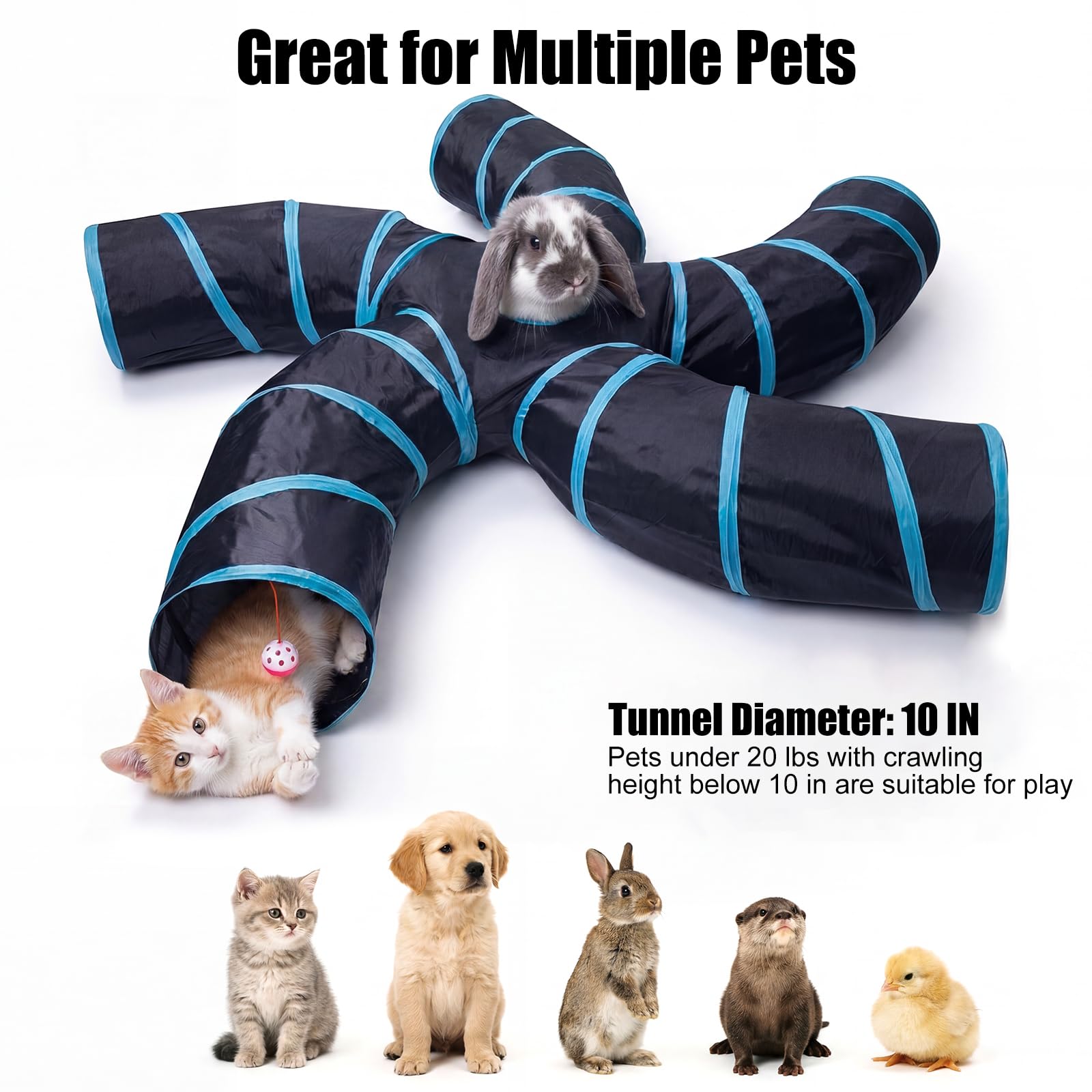 Bemodst Túnel para Gatos, 2 vías/3 vías/4 vías/5 vías, Plegable, Juguete para Gatos, Juguete Interactivo para casa de Laberinto para Conejos pequeños, Cachorros, Hurones, cobayas (5 vías)