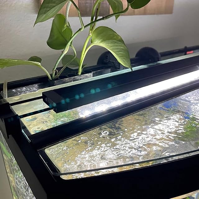 Foto 6 de 8 de Eivdru 2 soportes para plantas de acuario colgantes con ganchos, soporte para plantas de plástico, macetas