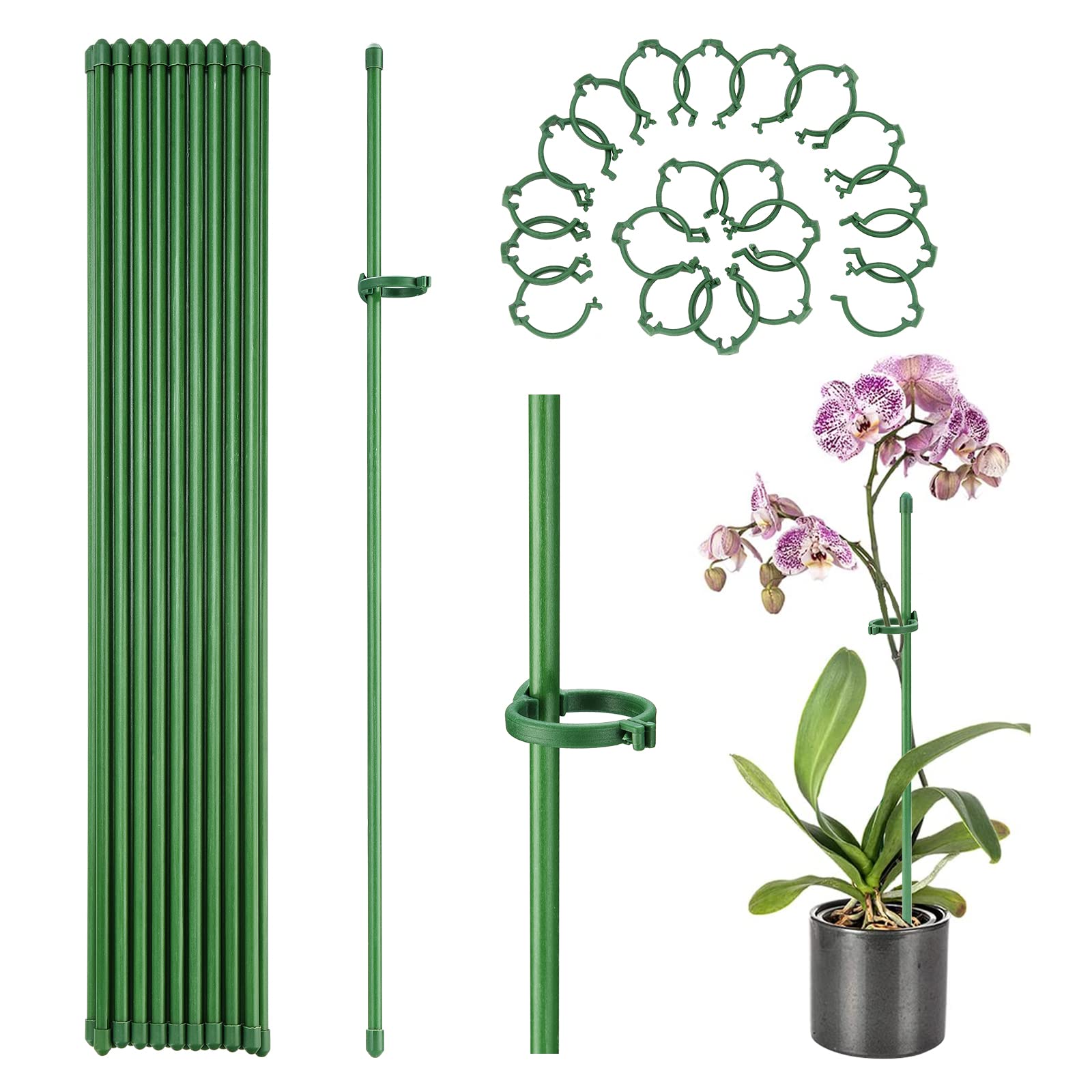 Pali per Piante da 10 Pezzi, Pali di Supporto per Piante a Stelo Singolo Pieghevole Bastoncini per Orchidee con Clip Pali da Giardino per Piante in Vaso da interni ed Esterni (Verde