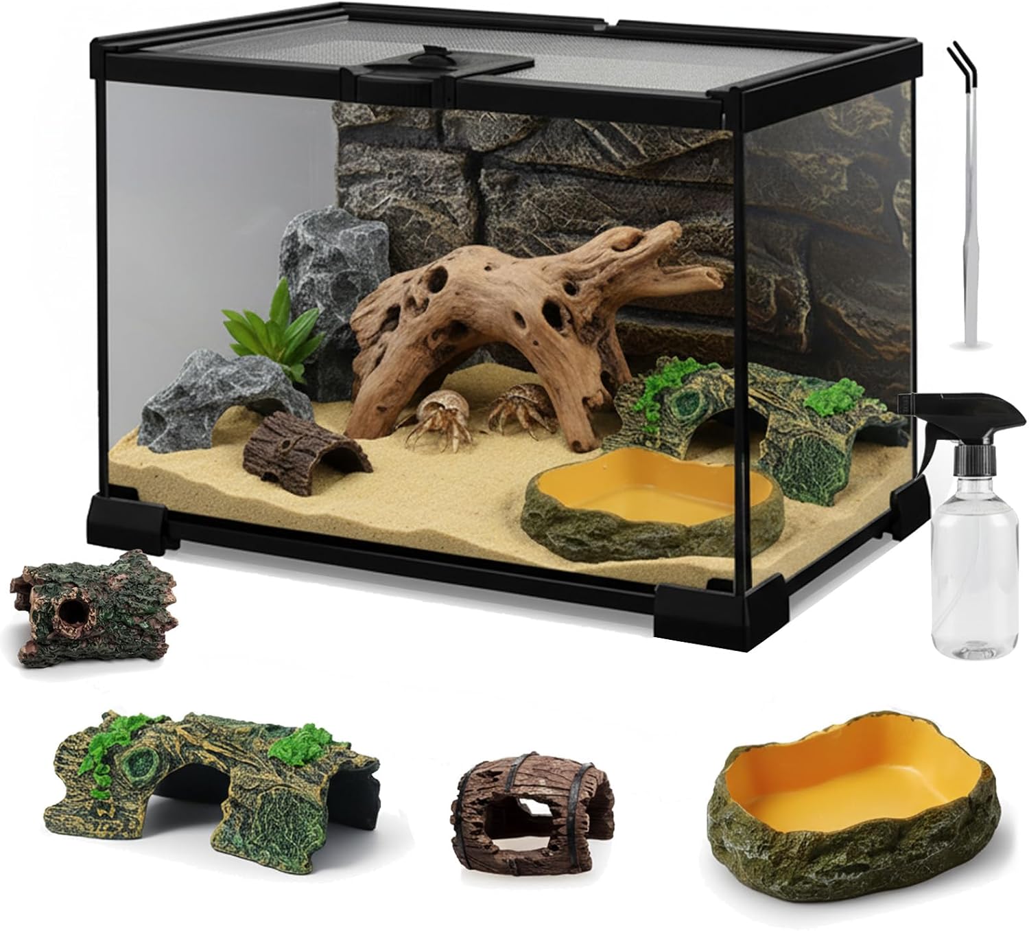 12"x8"x6" Mini Reptile Glass Terrarium Set (7 Pcs) Full View Hermit Crab Tank, Habitat Enclosure with Feeding Slot & Lock for Lizard, Bearded Dragon, Snake, Amphibians & Small Pets