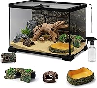 Vittqsuier 12x8x6 Mini Glass Reptile Terrarium Kit - 7pc Full View Habitat with Feeding Door, Secure Lock for Lizards, Snakes, Hermit Crabs & Small Pets