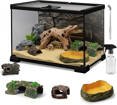 12"x8"x6" Mini Reptile Glass Terrarium Set 7 Pcs Full View Hermit Crab Tank, Habitat Enclosure with Feeding Slot & Lock for Lizard, Bearded Dragon, Snake, Amphibians & Small Pets