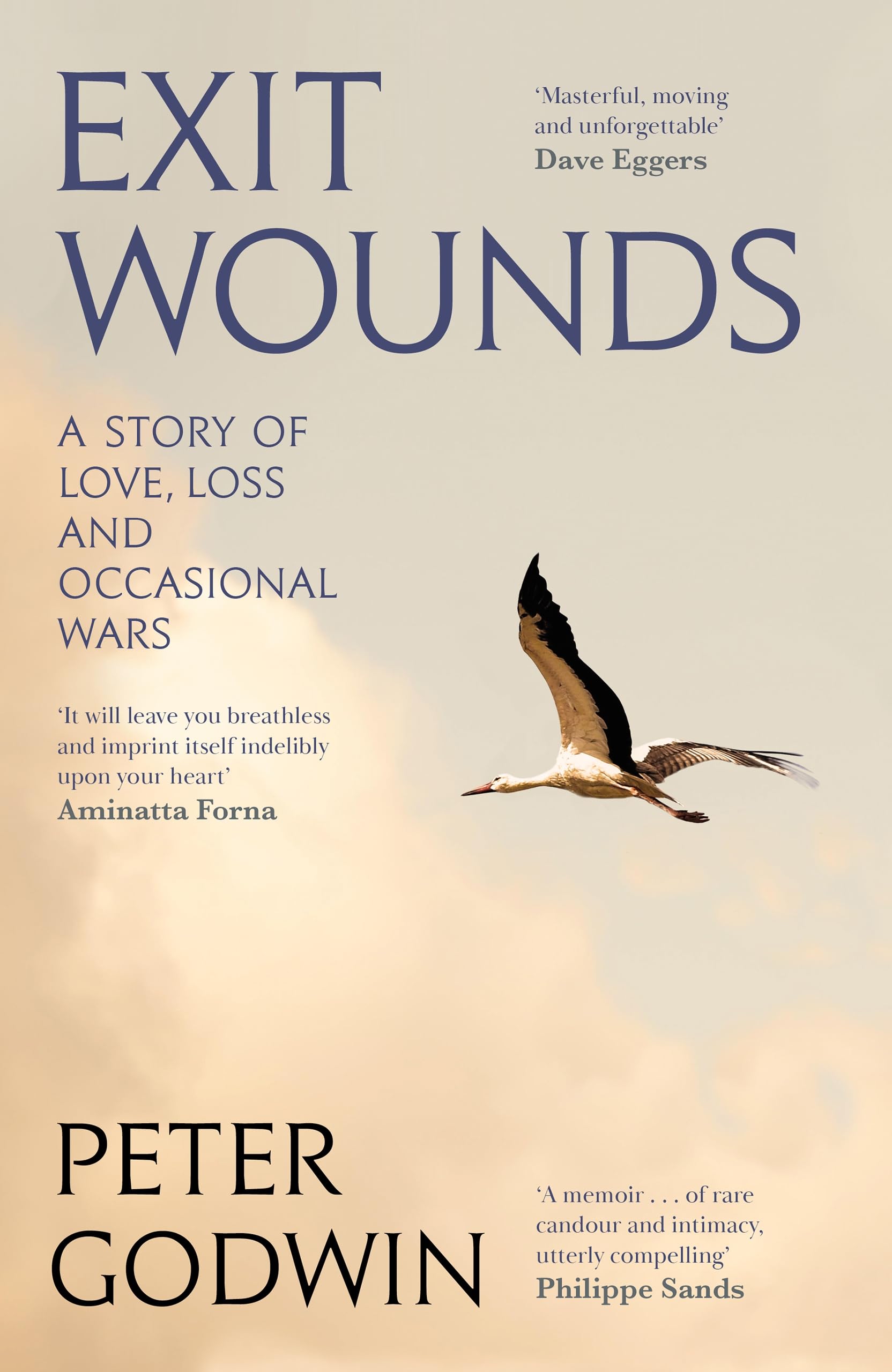 Exit Wounds by Peter Godwin (Hardback Book)