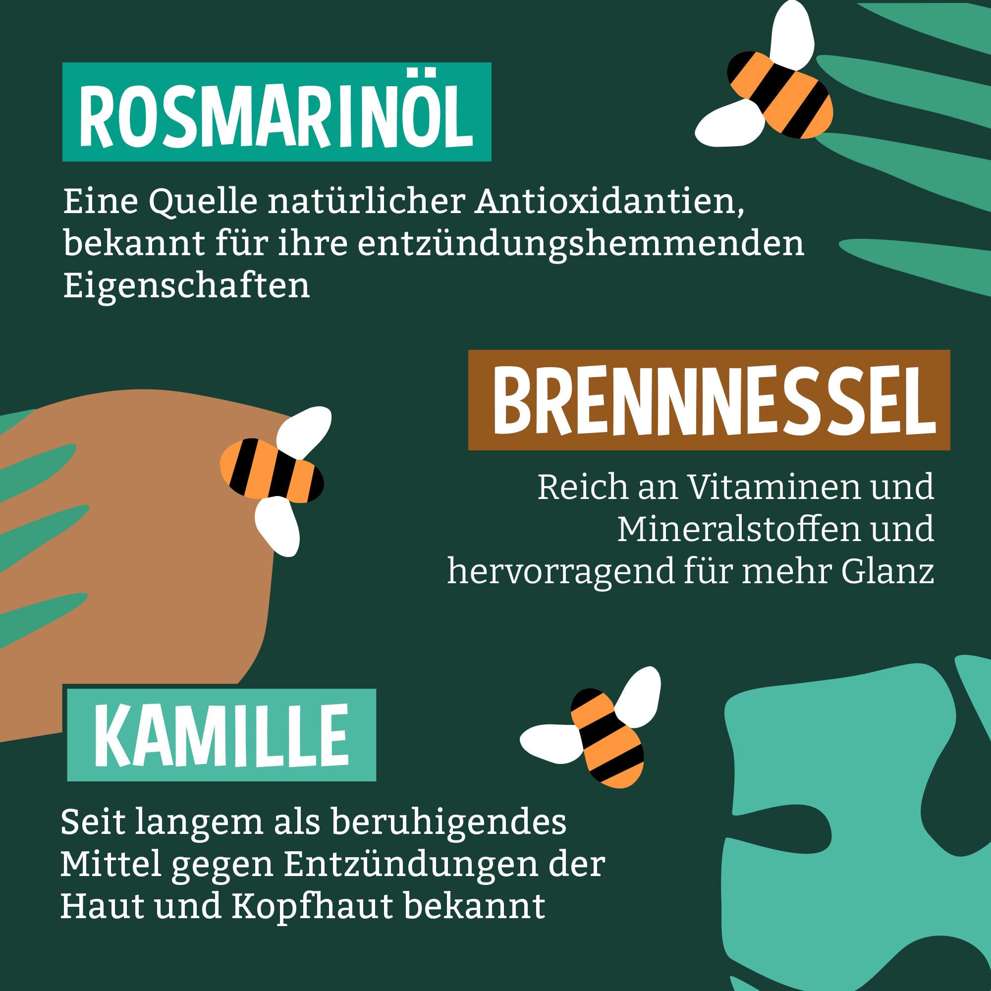 Faith In Nature Bio Kokosnuss Conditioner, Feuchtigkeitsspendend für trockenes Haar & trockene Kopfhaut, Vegan und tierversuchsfrei, Ohne SLS, Silikone oder Parabene, 5 L Nachfüllpack