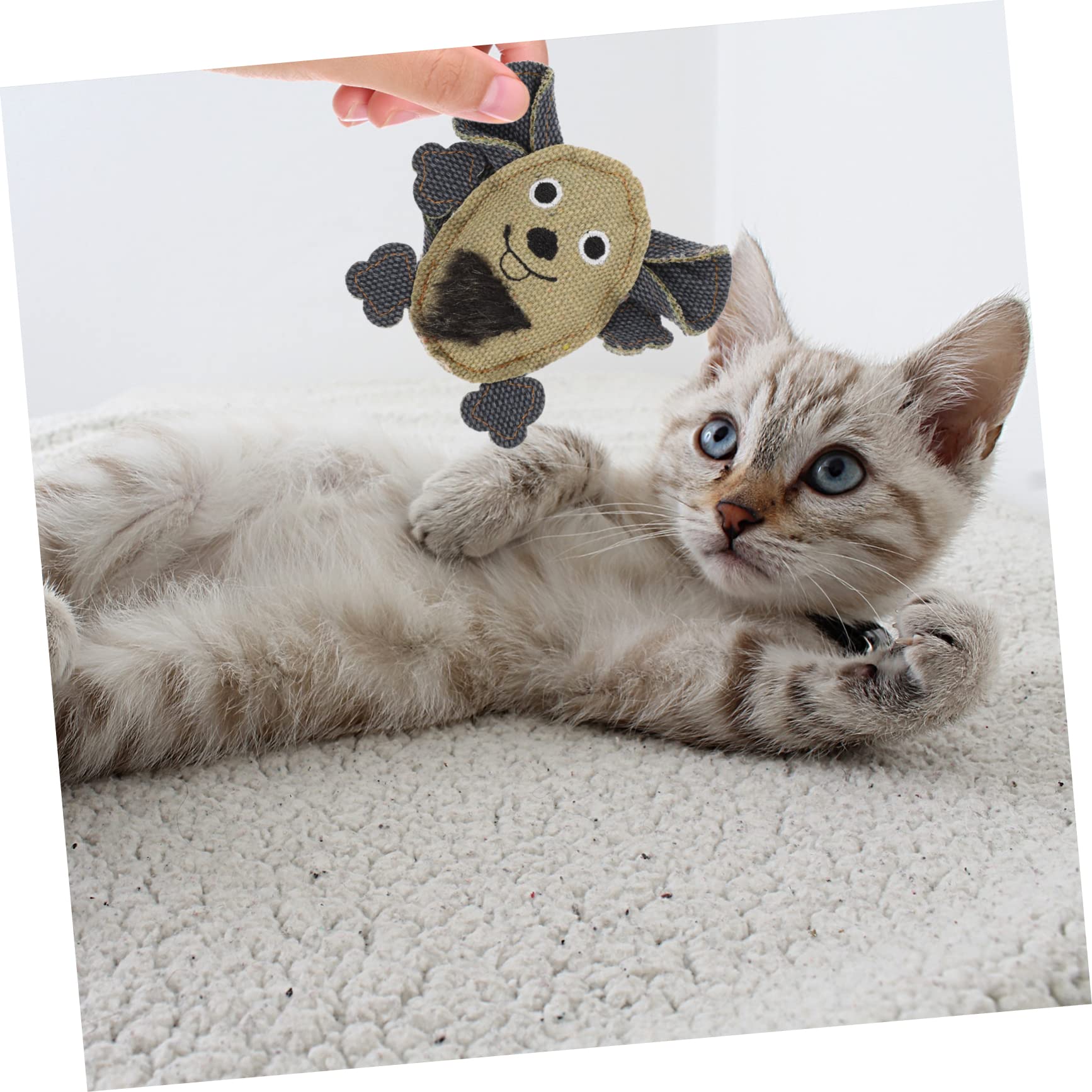 Supvox 15stücke Teiliges Katzen-spielzeugset Canvas Mit Rattenform Interaktive Kau Und Molartoys Für Kätzchen Und Ansprechend Für Spielerische Beschäftigung