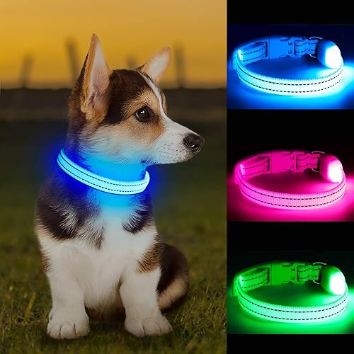 Miniatura 10 de KOSKILL Collar de perro iluminado por la noche, collar de perro con luces LED ajustable, collar de perro iluminado recargable impermeable, luces de