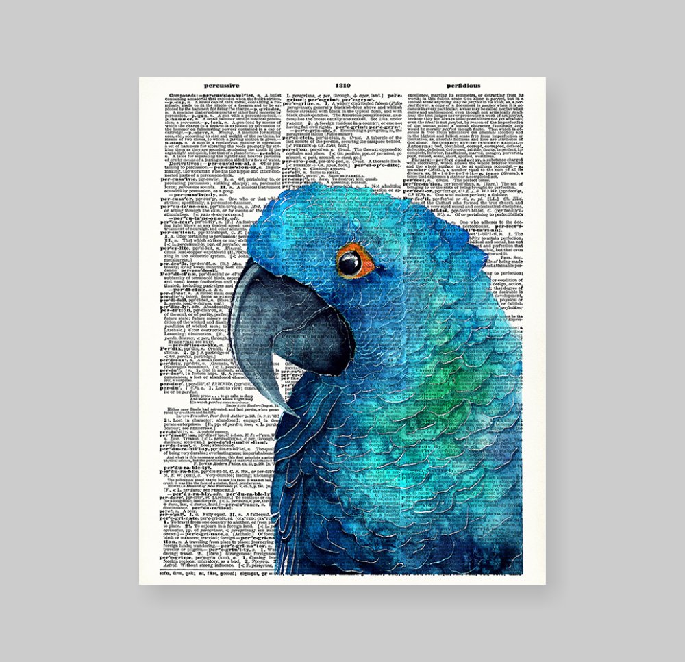 Amazon.co.jp: スージーArts 8 x 10 UnframedブルーParrot Upcycled