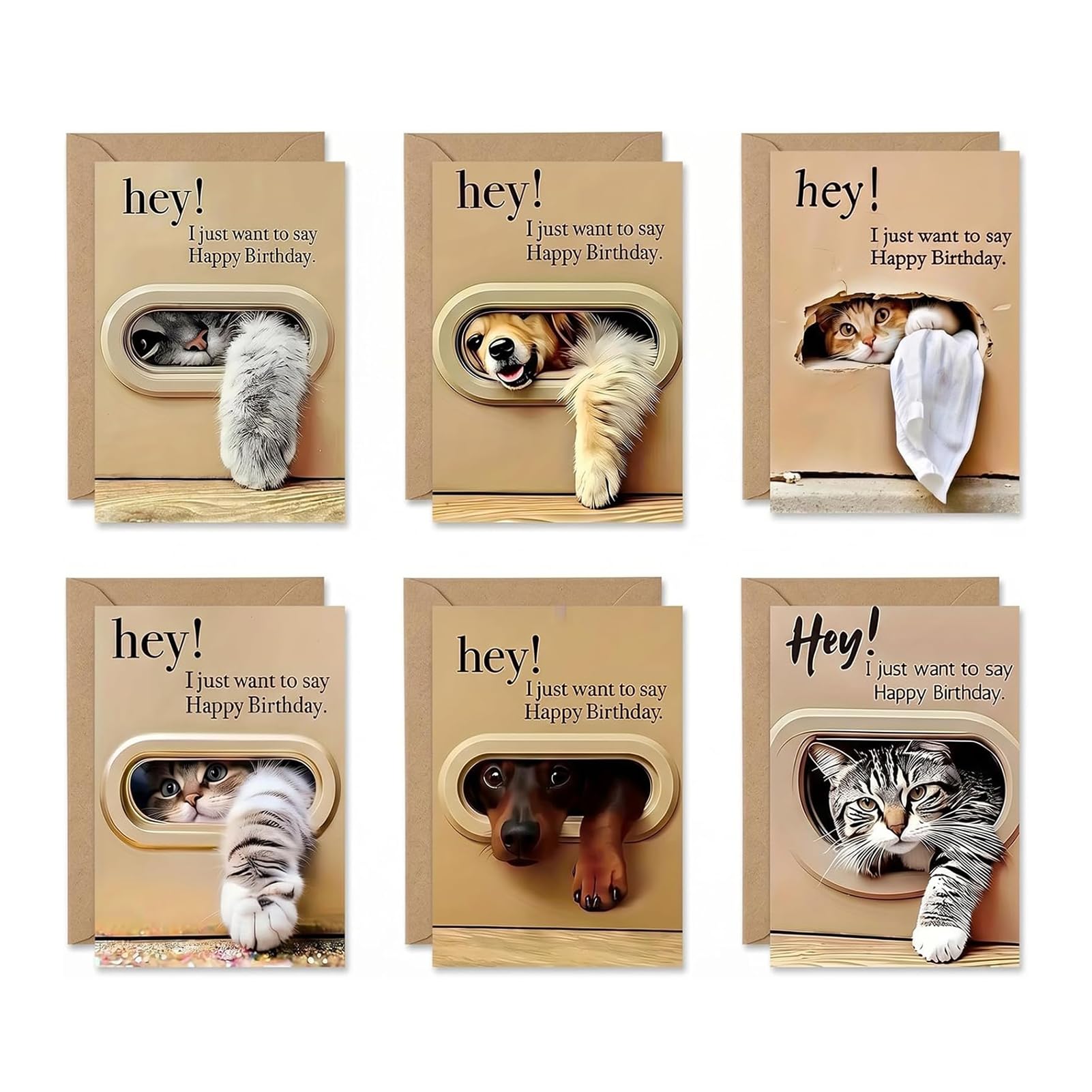 6 Pack Funny Cat Birthday Cards with Envelopes, Blank Inside, Writable