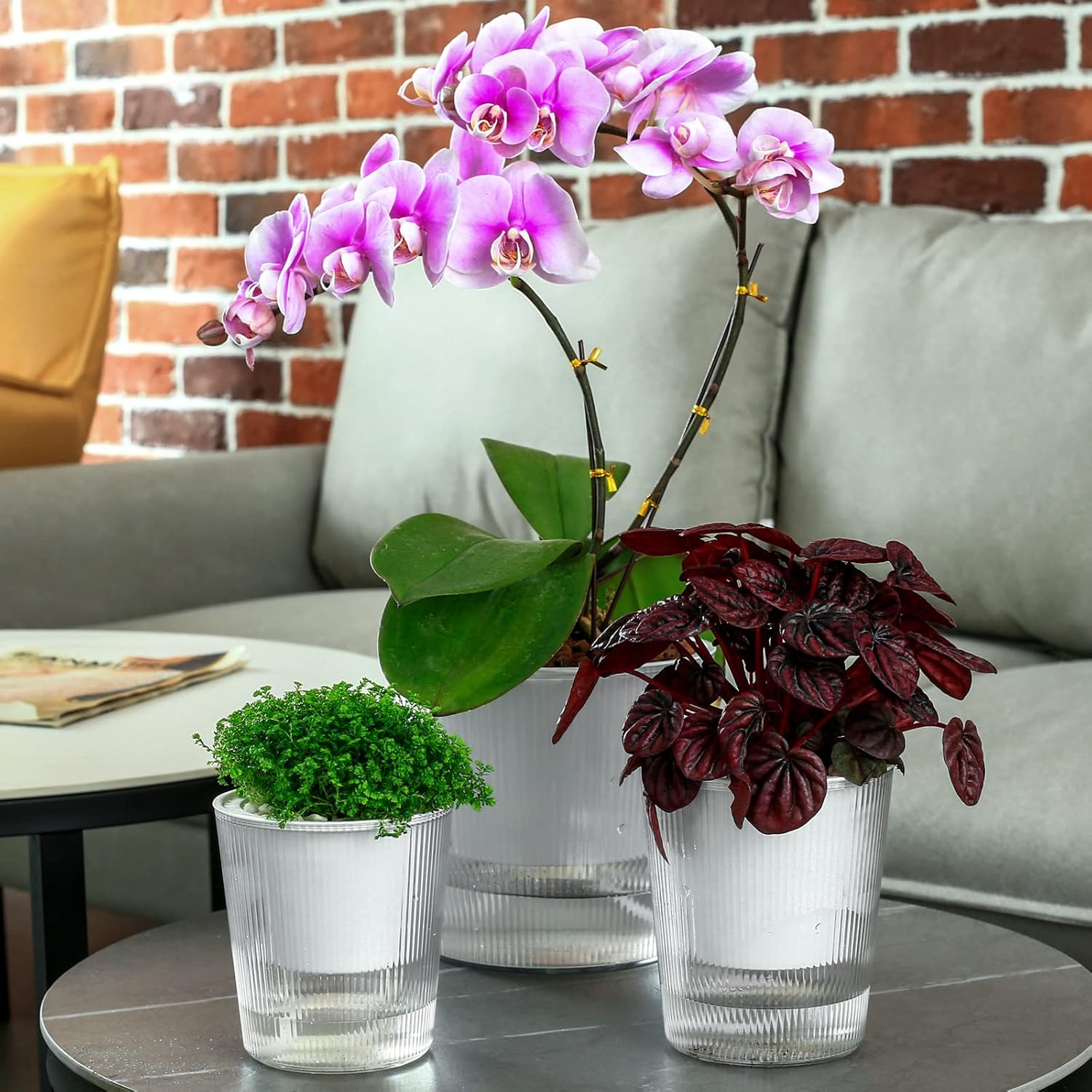 10-Pack 4.5 Inches Clear Self-Watering Pots for Indoor Plants Small Orchid Flower Pot Plastic Wick Planters for African Violet, Home Decor Pot