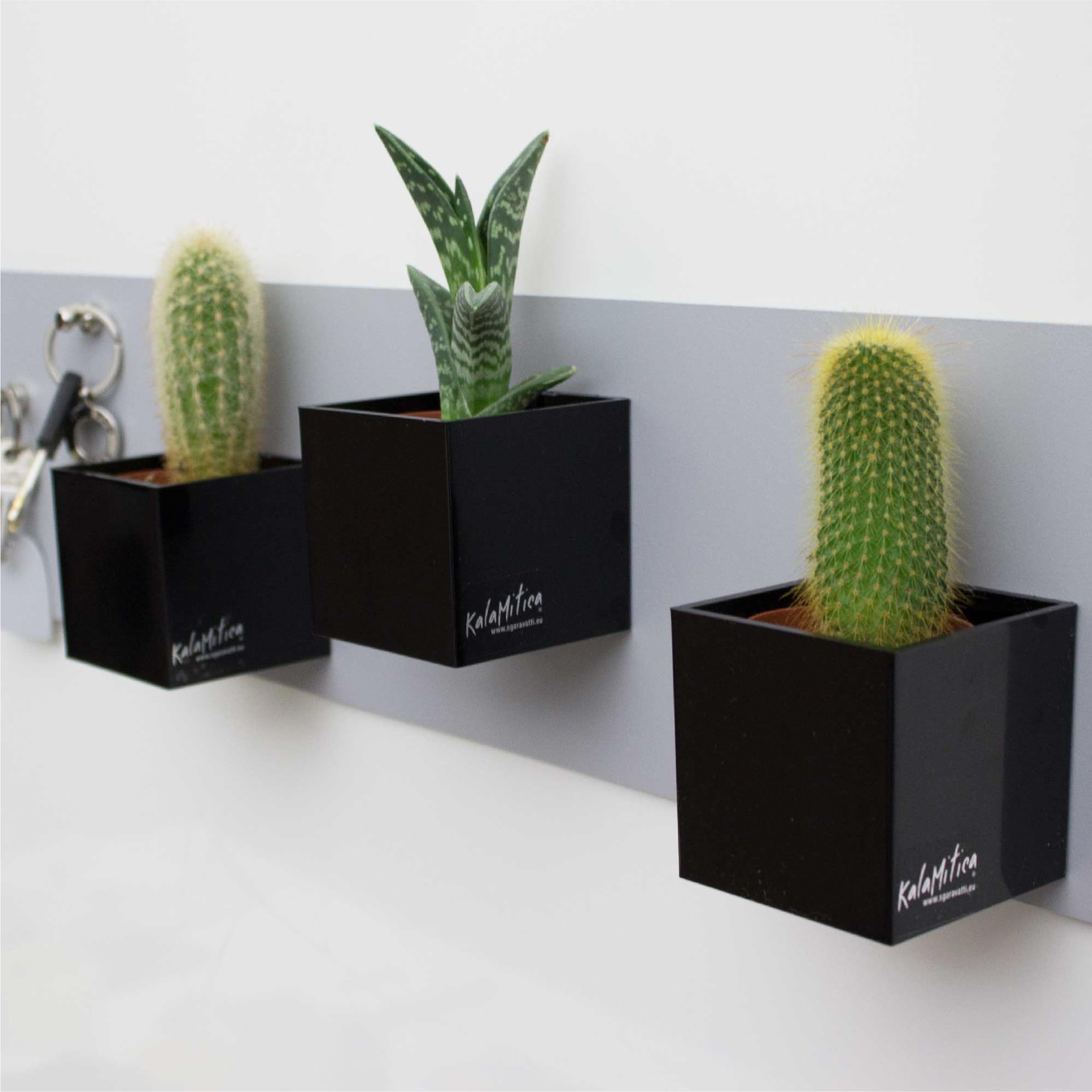 KalaMitica - Set di 3 Cubi Magnetici 6,5 cm - Nero - Contenitori Portaoggetti o Porta Vasi Magnetici con Calamita Potente per Lavagne Magnetiche da Parete
