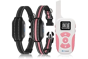 Electric Dog Collars for Dog Training